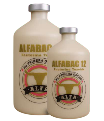 ALFABAC 12