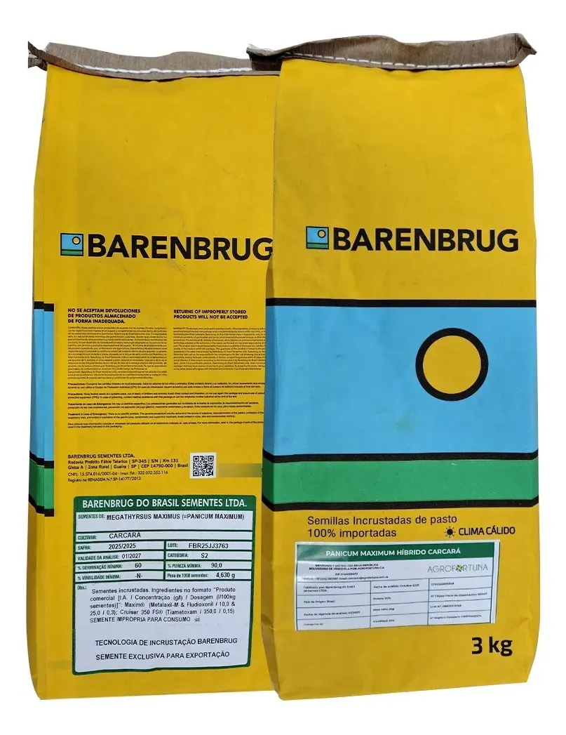 PANICUM HÍBRIDO cv. CARCARÁ (Barenbrug)