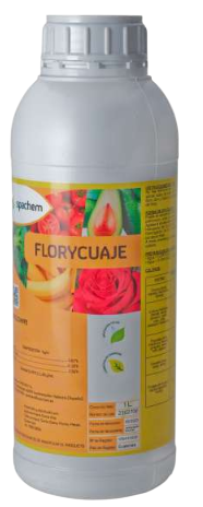 FLORYCUAJE